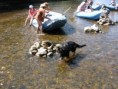 /album/raft-na-vltave/img-5159-jpg/