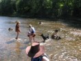 /album/raft-na-vltave/img-5168-jpg/