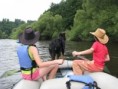 /album/raft-na-vltave/img-5247-jpg/