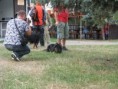 /album/svod-chodskych-psu-mostkovice/img-5909-jpg/