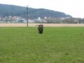 /album/zkouska-zzo/img-8702-jpg/