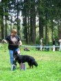 /album/klubova-vystava-sobesin-2010/img-0524-jpg/